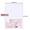 Akashiya Calligraphy Paper Practice Pure White 100 Sheets 5 Bags AO-31H-5P
