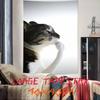 Cool Fashion Funny Cool Cat Tapestry Decoration Bedroom Dormitory Background Cloth Holiday Home Party Living Room Club Tapestry