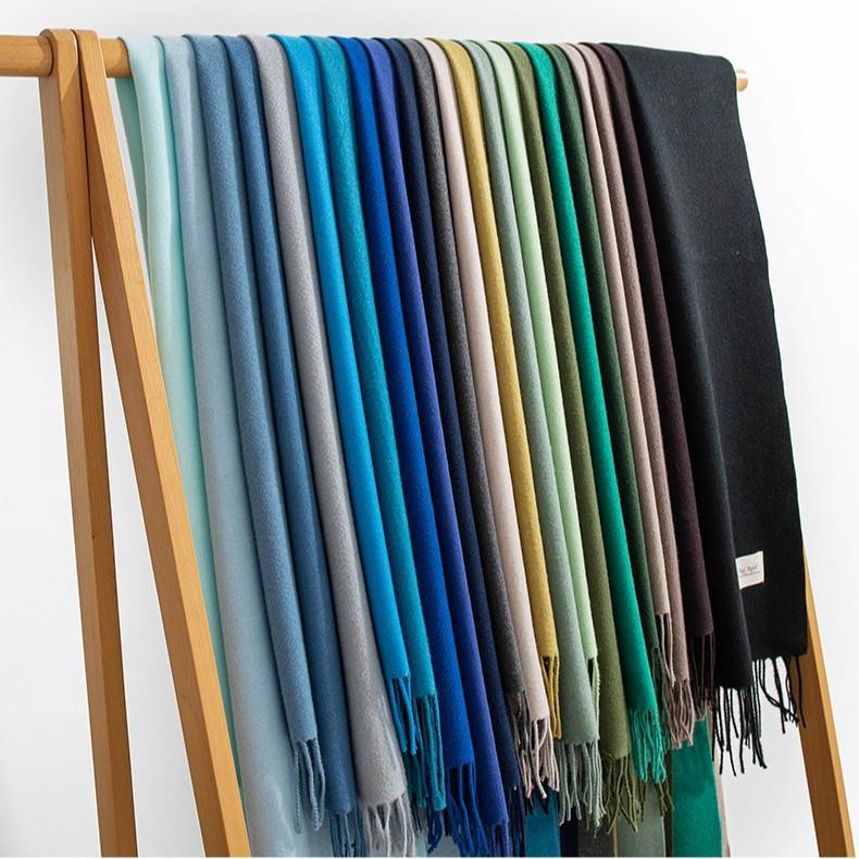 New Solid Color Maillard Imitation Cashmere Scarf for Women Autumn and Winter High End Simple Warm Shawl