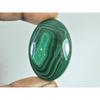 28X41X05 MM Natural Green Malachite Oval Cabochon Loose Gemstone 81Cts. C-1700
