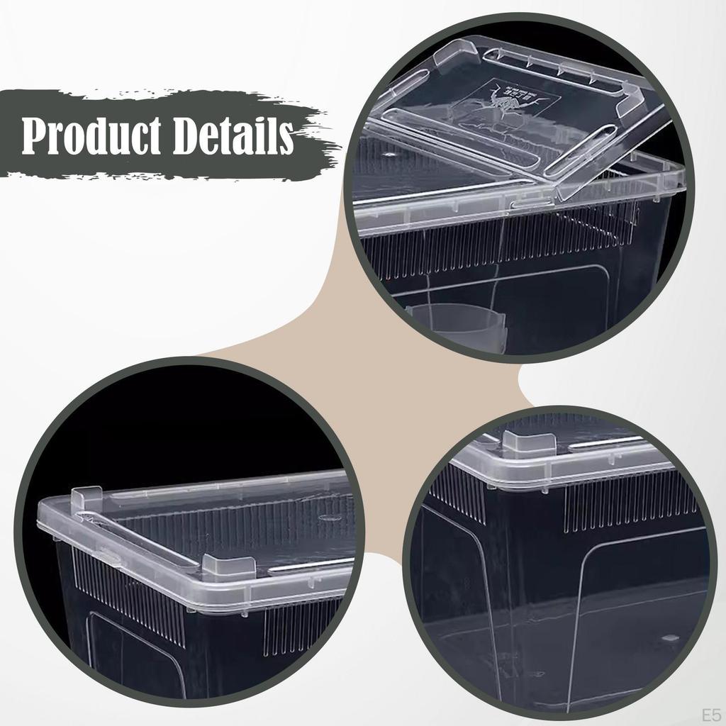 Reptile Breeding Box As A Small Animal Habitat And Container. This Terrarium The