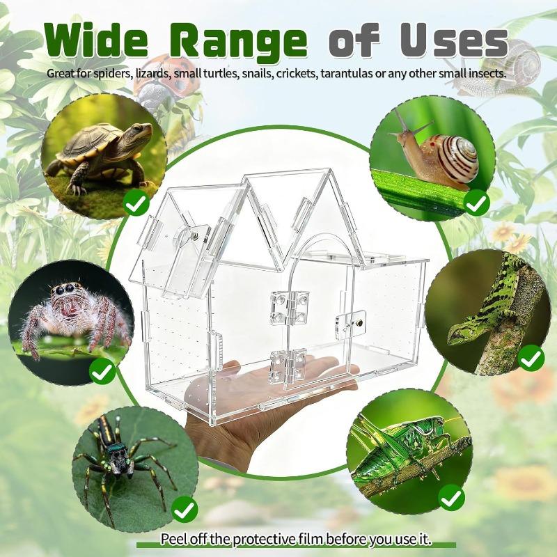 Acrylic Terrarium Transparent Jumping Spider Reptiles House Snails Tree Frog Gecko Lizard Breeding Cage Reptile Enclosures