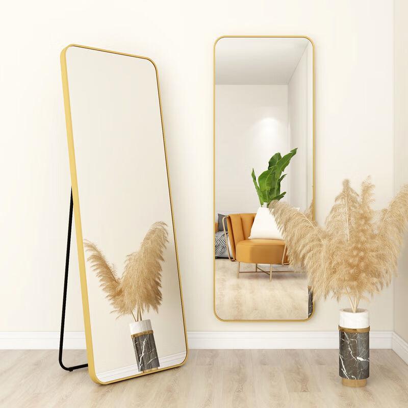 Changbaosen Full Length Dressing Mirror
