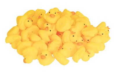 Happy Duck Medium, 50 Pieces, 0013082