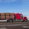 Winch Straps, 4" X 30', 6000 Lbs Load Capacity, 18000 Lbs Breaking Strength, Truck Straps with Flat Hook, Flatbed Tie Downs Cargo Control for