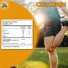 Vedapulse Curcumin Complex with Garlic - Natural Antioxidant Supplement for Supporting Overall Health - 90 Veg Capsules