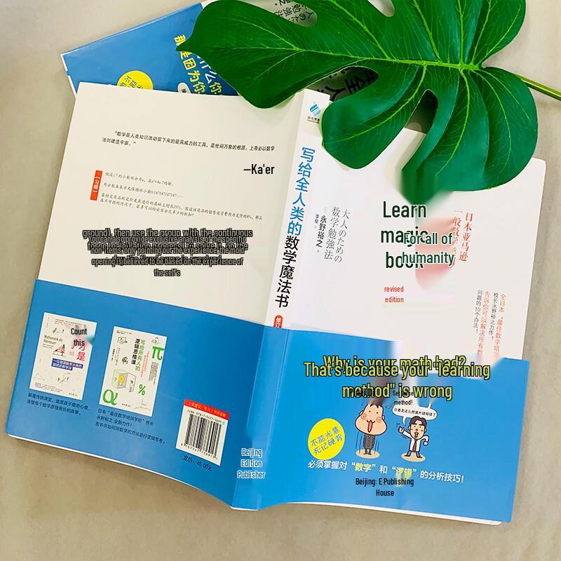 Mathematics Magic Book