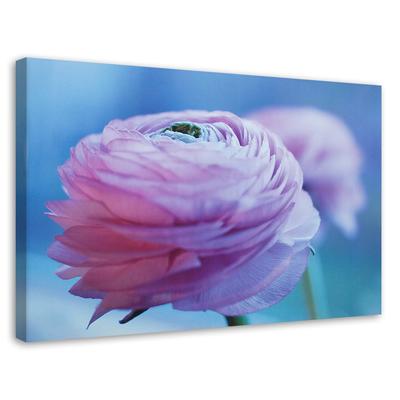 Tableaux sur toile Pivoine Fleur Nature