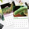 Gag Gifts - Funny 2026 Wall Calendar, 2026 Calendar with Thick Paper, Jan. 2026 - Dec. 2026, 11" x 8.5", Best for White Elephant Gag Gifts