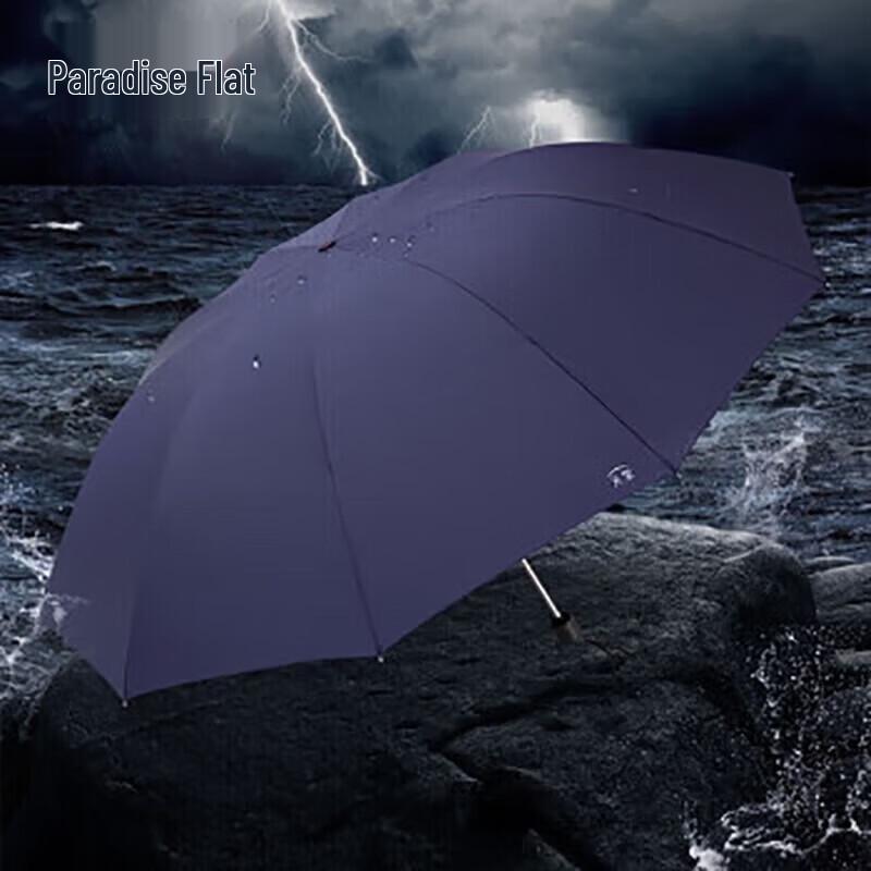Heaven Umbrella Ten-Rib Three-Fold Windproof Rain/Sun Umbrella
