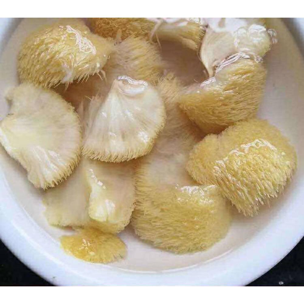 Premium Dried Lion's Mane Mushroom Hericium Erinsceus 250g