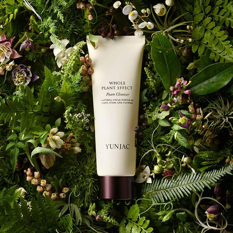 

Jeoncho Foam Cleanser 120ml