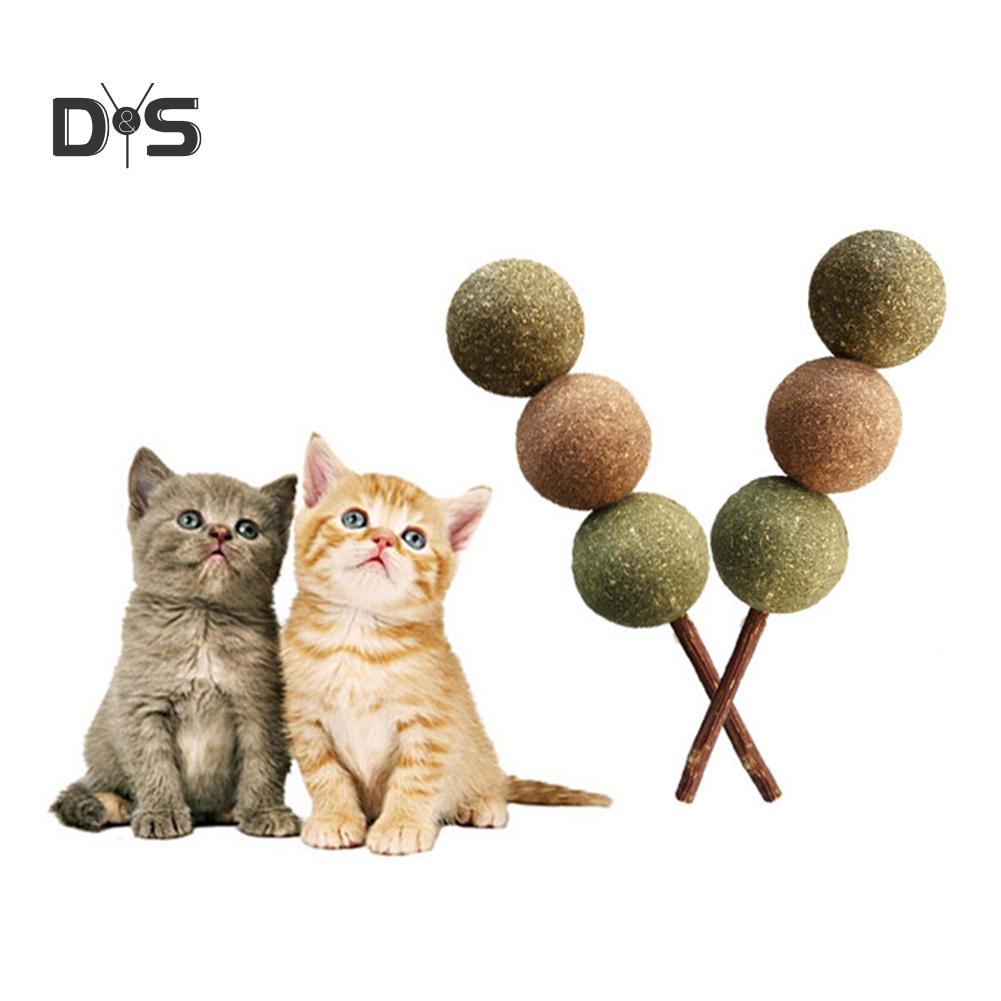 silvervine for cats teeth