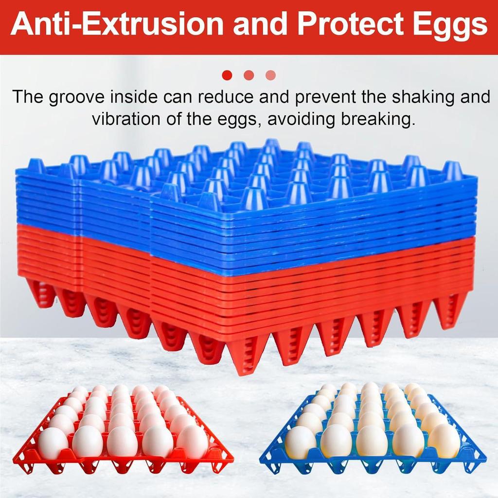 30-Egg Transport & Hatching Plastic Tray for Breeding