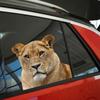 Car Window Glass Stickers Animal Series Vehicle Decal