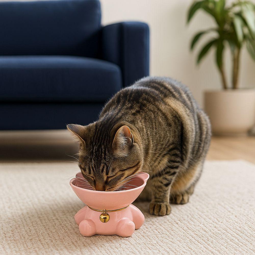 Anti Overturning Dog Food Bowl Large Capacity Cat Drinking Feeder Ceramic Cat Bowl  For Cats Dogs