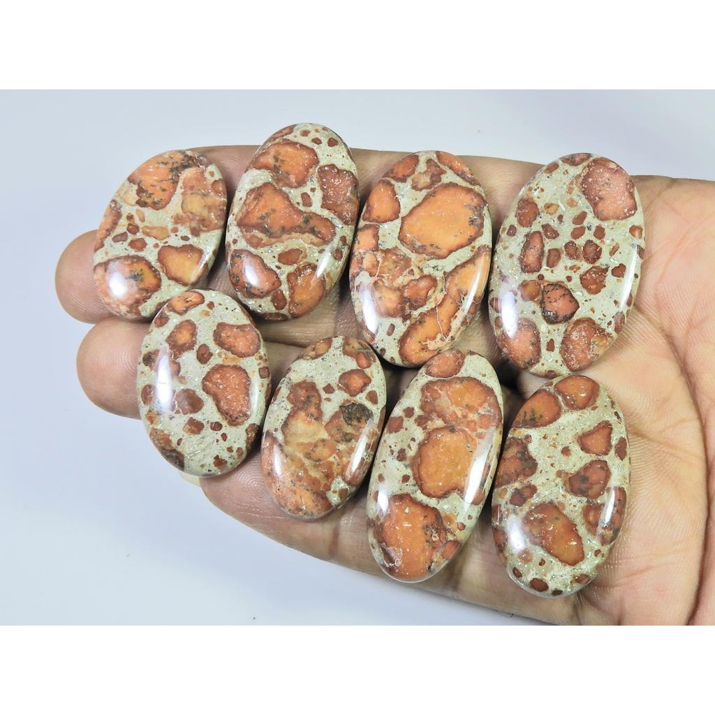 255Cts. Natural Asteroid Jasper Oval Shape Cabochon Loose Gemstone 08Pcs Lot C-2445