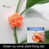 10Pcs Plant Climbing Wall Fixture Clip Self-Adhesive Climbing Vine Fixing Hook Traction Tool Wall Hanging Plant Support Clamp