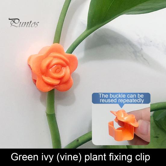 10Pcs Plant Climbing Wall Fixture Clip Self-Adhesive Climbing Vine Fixing Hook Traction Tool Wall Hanging Plant Support Clamp