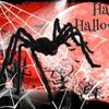 200CM Giant Spider Halloween Decorations Fake Scary Spider for Indoor Outdoor Home Wall Yard Parties Halloween Decoration Props