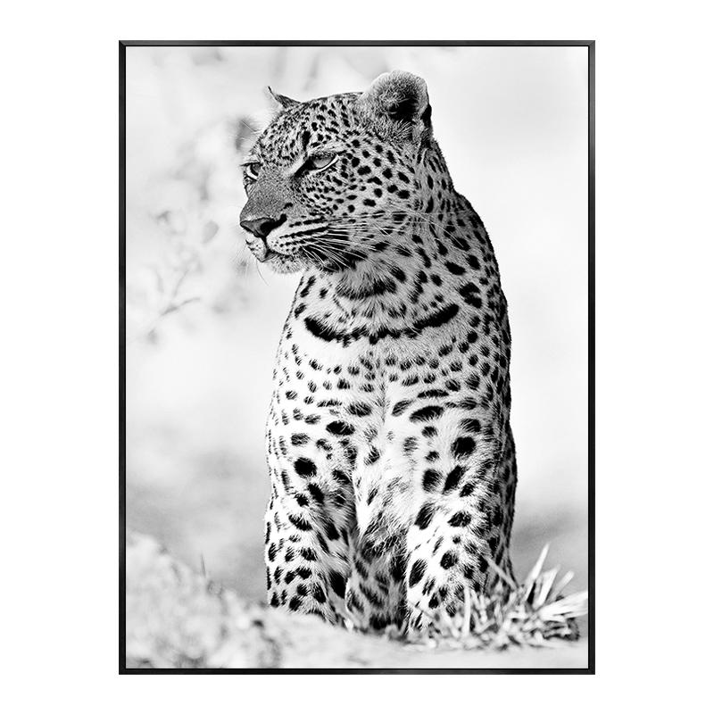 Monstera Leaf Green Plant Poster Animal Lion Leopard Horse Photos Nordic Decorative Paintings Canvas Wall Art Picture Home Decor