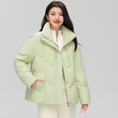 Fengxun Women's New Chinese Style Short Down Jacket