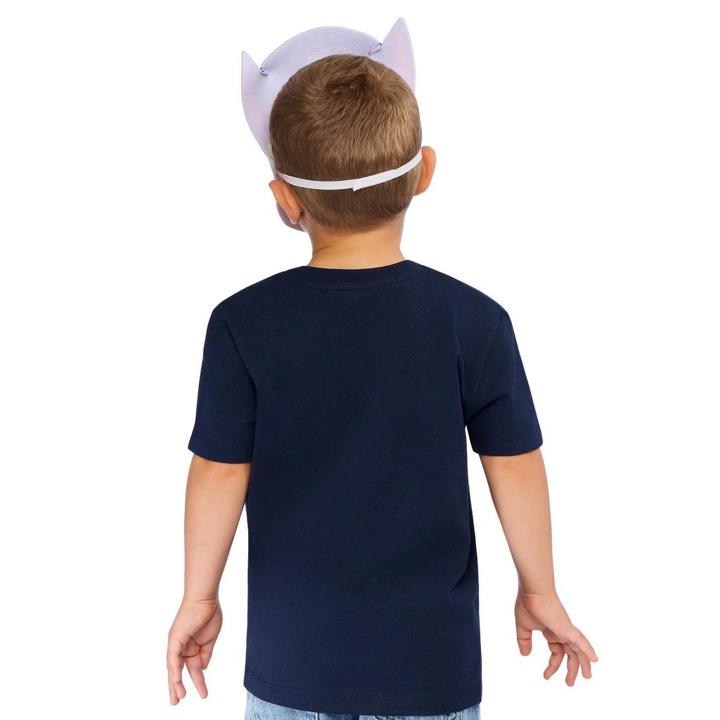 Paw Patrol Childrens/Kids Chase Felt Mask