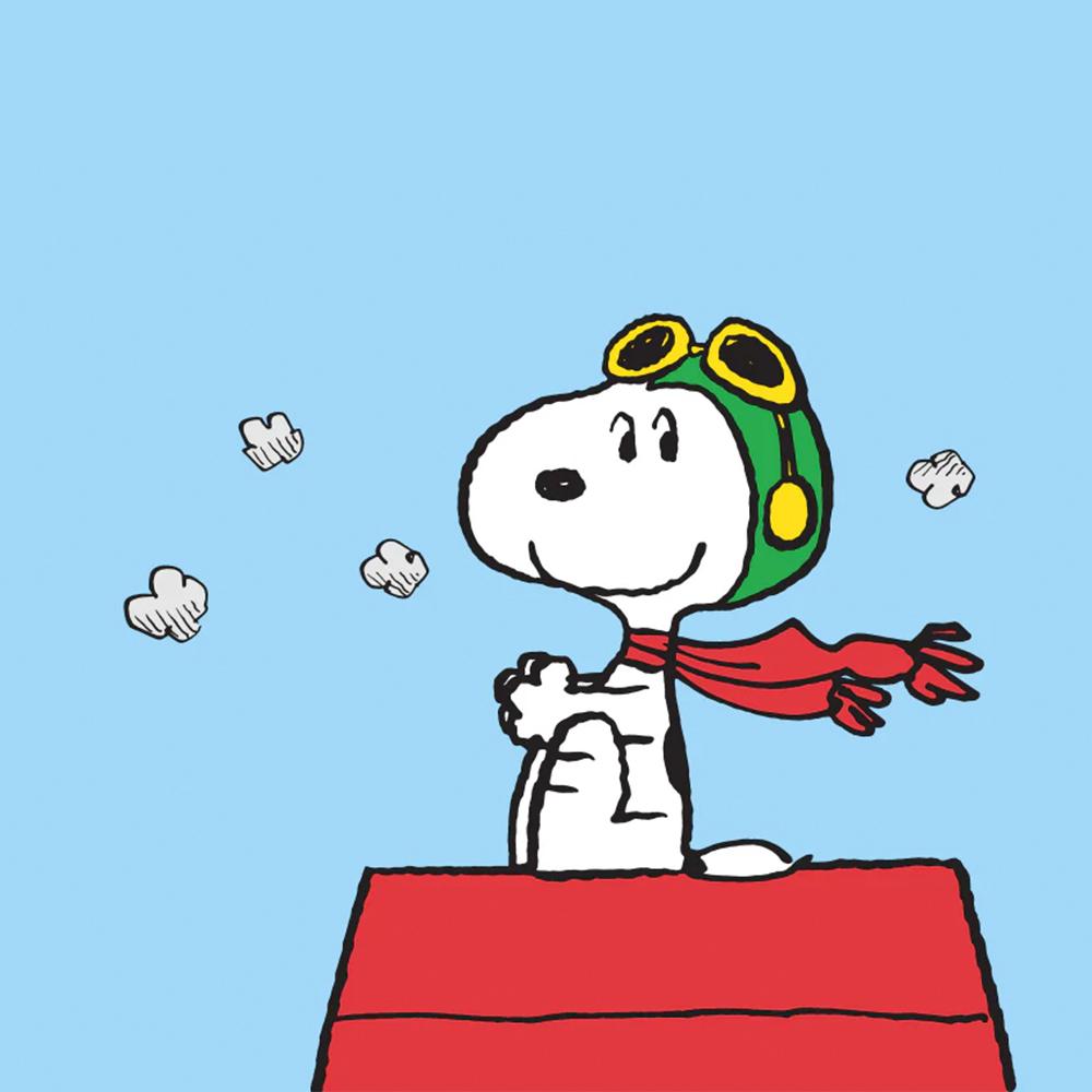 [Timex] Peanuts Marlin Automatic Snoopy Flying Ace Watch 40mm TW2W49600