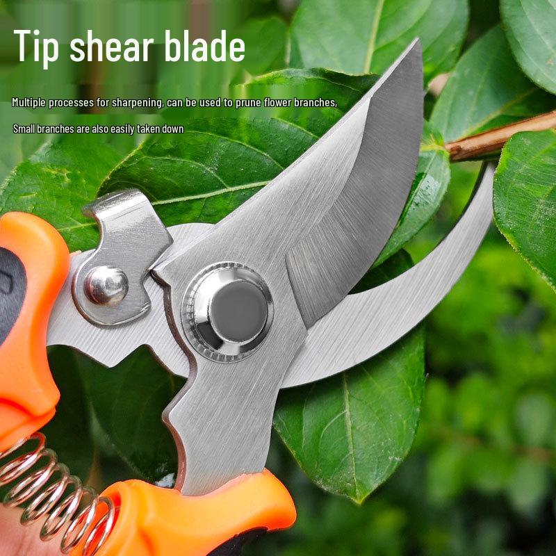 Pruning Shears & Bonsai Scissors for Fruit Picking, Gardening, and Outdoor Use