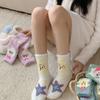 Coral Fleece Socks, Women's Autumn and Winter Non-shedding Fleece Socks, Thickened Home Cartoon Floor Socks, Postpartum Warm Sleep Socks