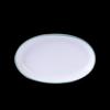 Haoya Jingdezhen Ceramic 12-inch Fish Plate - Happy Cabin Design