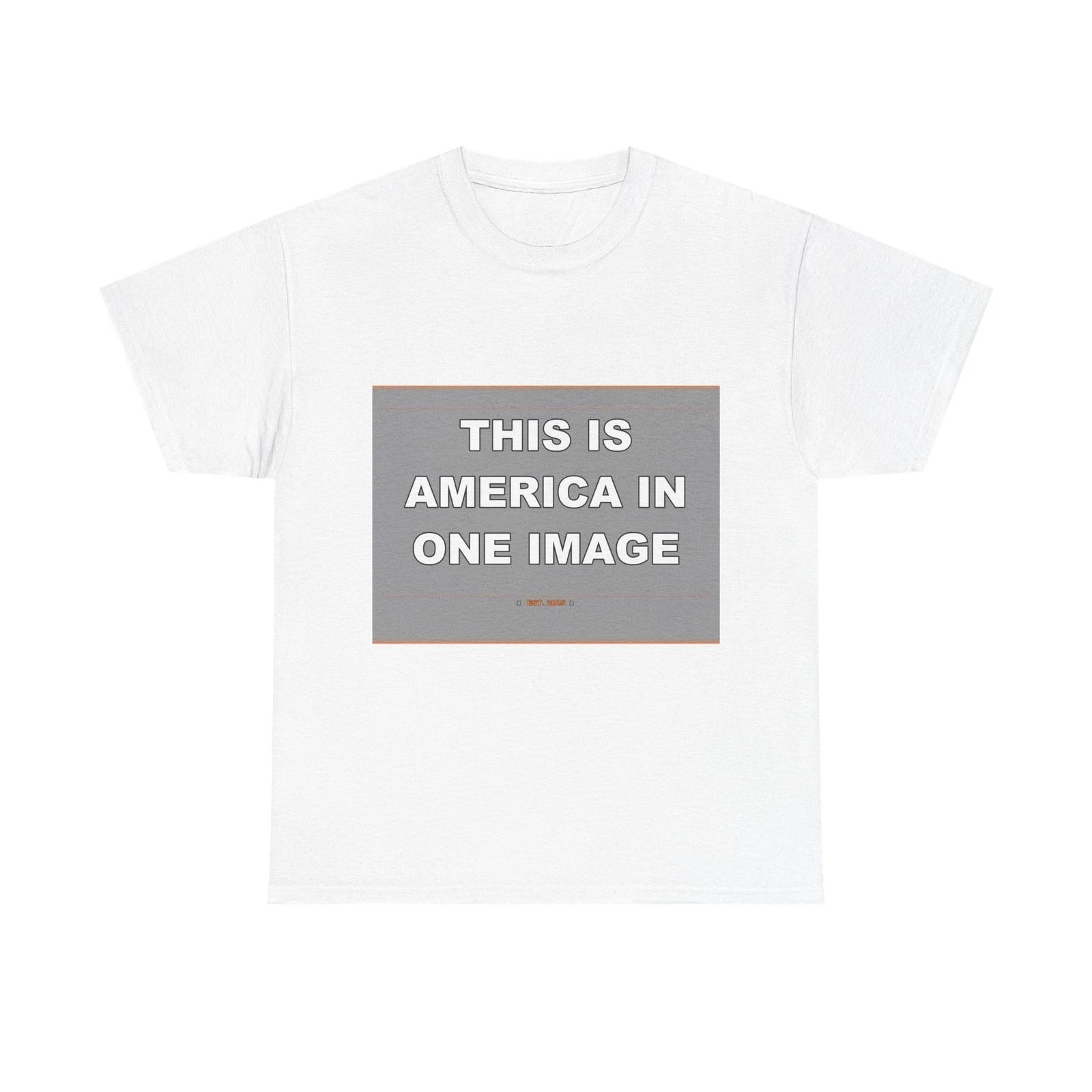 This is America in One Image - Funny Unisex T-Shirt Gift Idea L