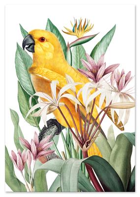 Bytové dekorácie – Obrazy a plagáty