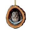Owl Raccoon Christmas Ornament 2D Printed Acrylic Hanging Decor for Tree Festive Animal Tree Pendant