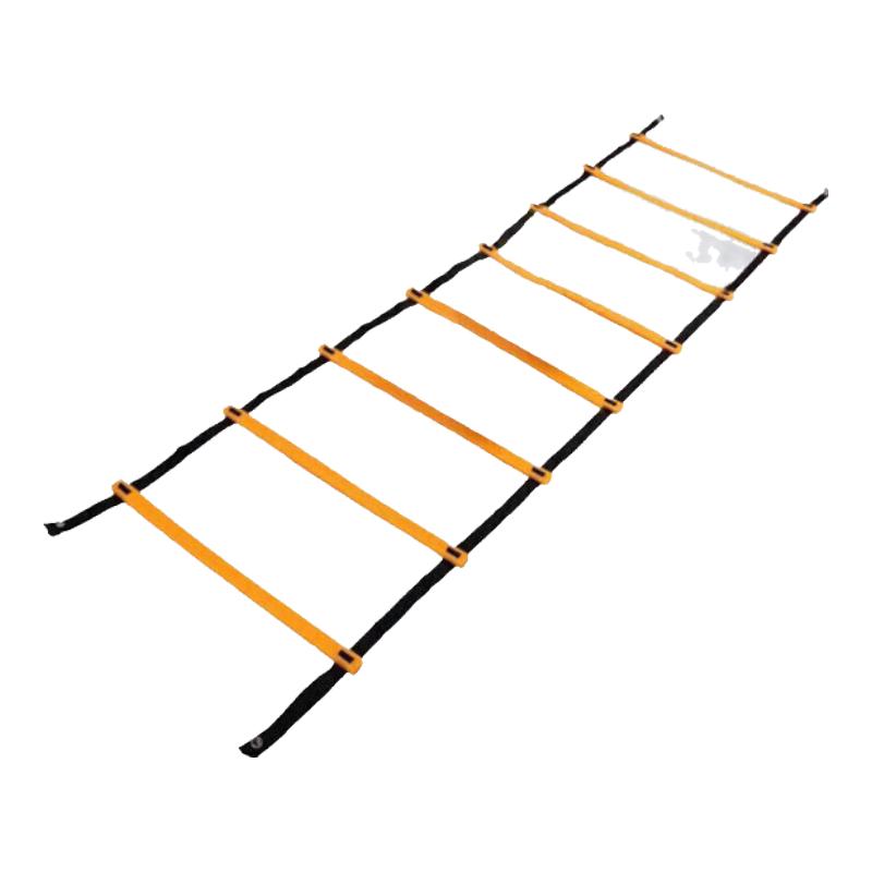 Trauberg Agility Training Ladder