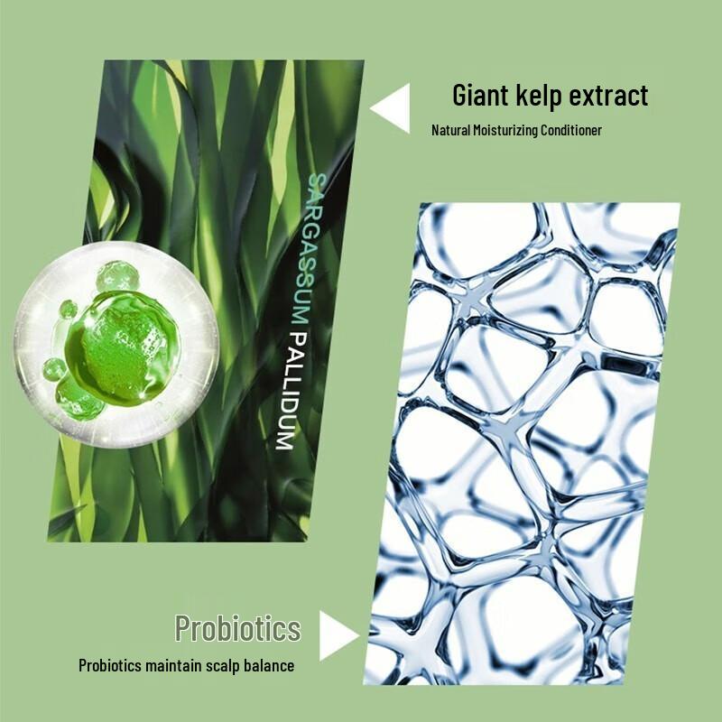 Botei Seaweed Anti-Dandruff Shampoo & Sea Salt Shower Gel Set