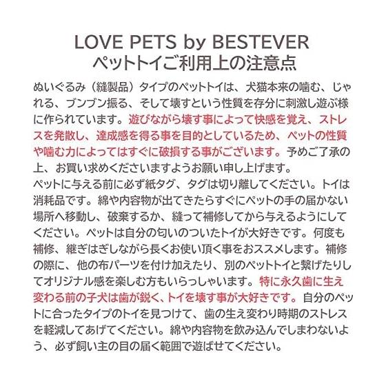 [LOVE PETS by BESTEVER] Love PETS by BESTEVER Pet Toy Tough Toy Carrot XL Carrot XL 47232