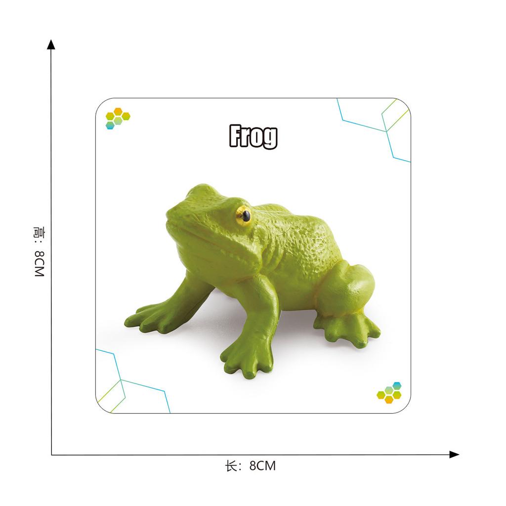 Children'S Science And Education Cognition 16 Animal, Plant And Insect Life Cycle Cards Early Childhood Education Card Toys