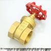 WMN DN15 Brass Gate Valve
