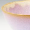 Japanese ceramics Tsubakihide kiln Hagimurasaki set rice bowl M54875350