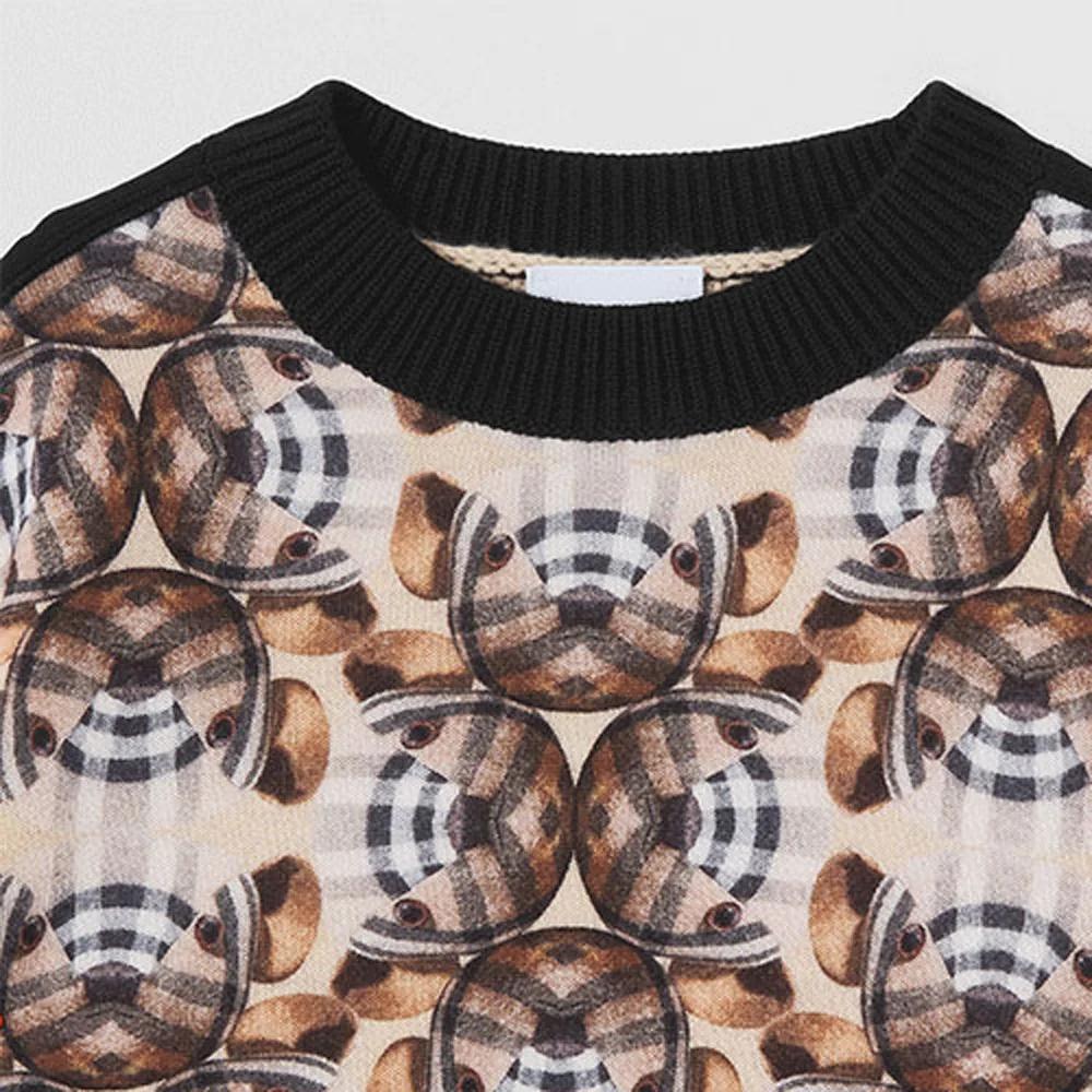 Burberry Kids Sweaters Crew Neck Moderate (Unisex) Sweaters 80473371