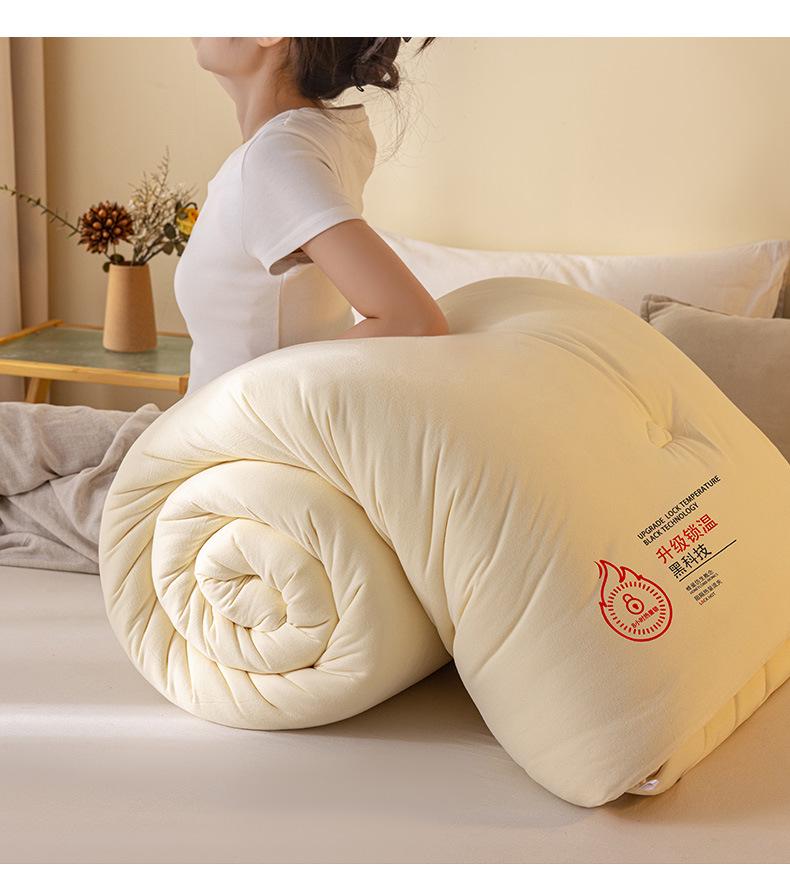 Thickened Cloud Velvet Quilt: Warm Autumn/Winter Comforter, Ideal for Dormitory or Single Bed, Suitable for Spring and Autumn