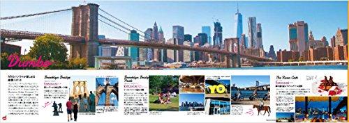 NEW YORK, NEW YORK! A New York Subway Travel Guide (Earth Walking Guide Books)