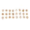 25 Pcs Rune Stone Irregular Crystal Engraved Rune Stone Set for Home Decoration Board Game