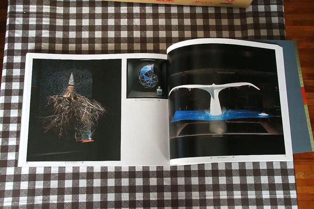 [USED] shiseido window art