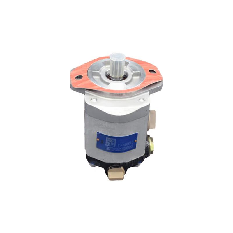 Shaanqi SX2300 Power Steering Pump 1