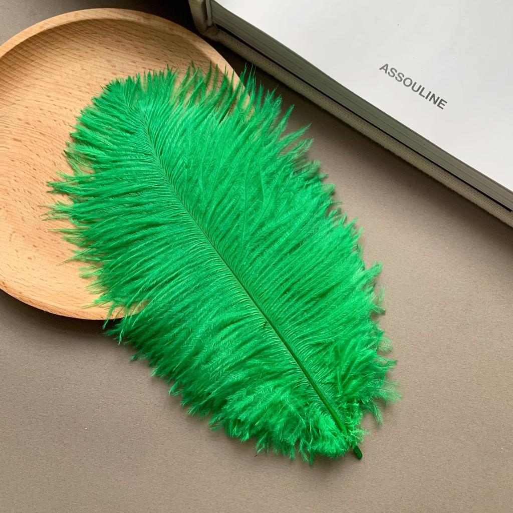 Color ostrich hair 15-20CM ostrich feather Internet celebrity photo background wall feather cake flower arrangement DIY decoration