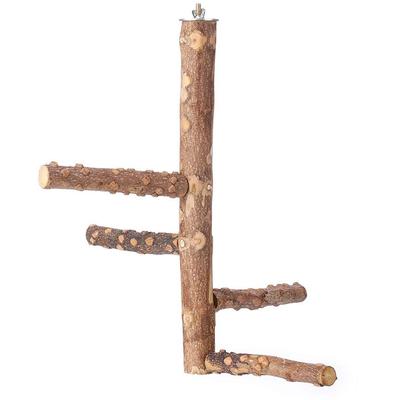 Kuş – Kuşlar için oyuncaklar