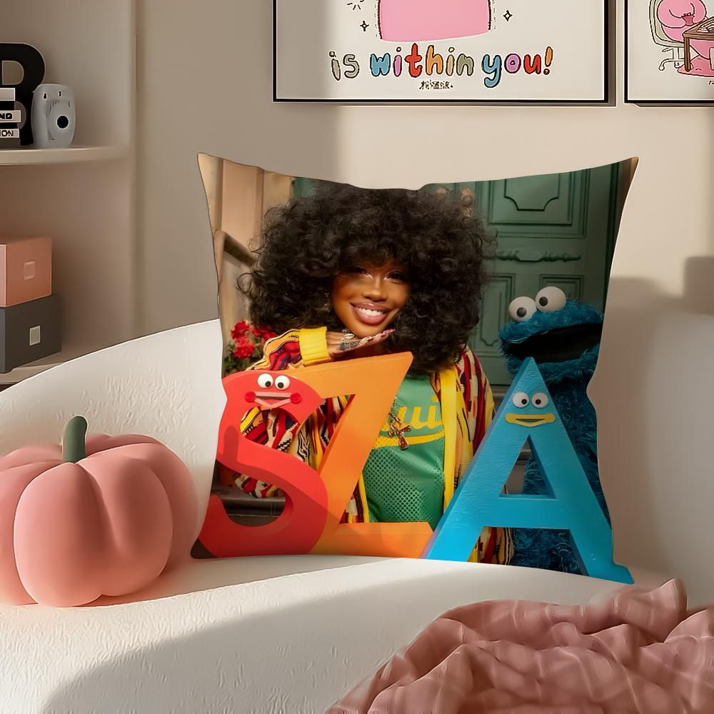 

American Star SSZA Cushion Cover Pillowcase Short Plush Invisible zipper Room Sofa Cushion Cover 30X30cm