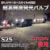 Discover winds super bright S25 G18 single 12V 24V dual use for everything from motorcycles and cars to 3014 54SMD LED bulb white 10 pieces trucks!